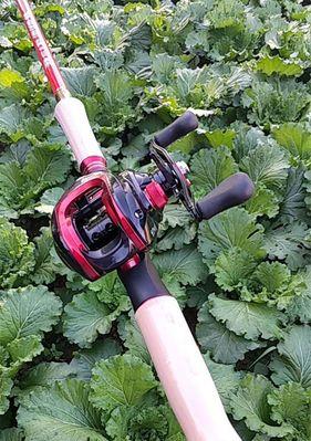 沧州钓鱼竿技巧有哪些？如何提高钓鱼成功率？  第2张
