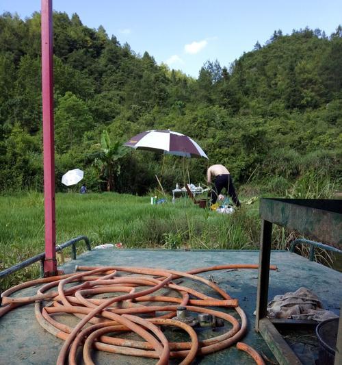 草地钓鱼的正确方法和技巧是什么？如何提高草地钓鱼的成功率？  第2张