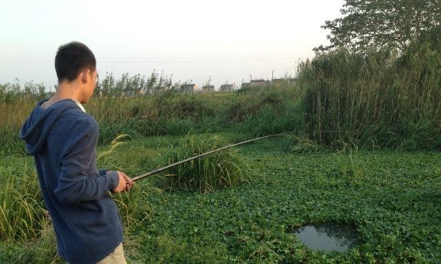 草洞钓鱼绝密技巧教学？如何提高钓鱼成功率？  第2张