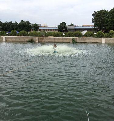 草鱼池钓鱼技巧有哪些？如何提高钓获率？  第2张