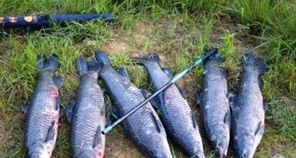 超快流水钓鱼技巧是什么？如何提高钓鱼效率？  第1张