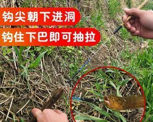潮堤石缝间钓鱼技巧是什么？如何提高钓鱼成功率？  第3张