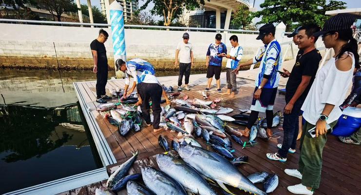潮汐钓鱼技巧教学？如何根据潮汐变化选择最佳钓鱼时机？  第1张