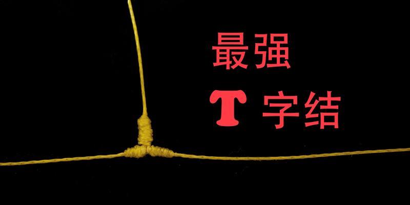 沉底钓鱼的技巧有哪些？如何提高沉底钓鱼的成功率？  第3张