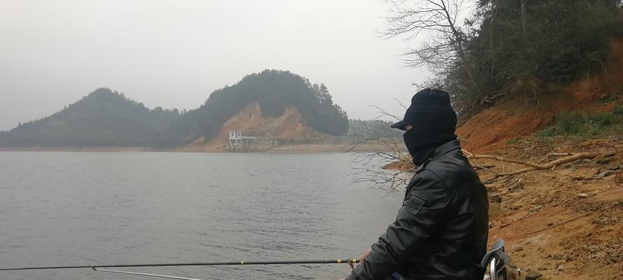 成都短竿钓鱼技巧教程？如何快速掌握？  第2张