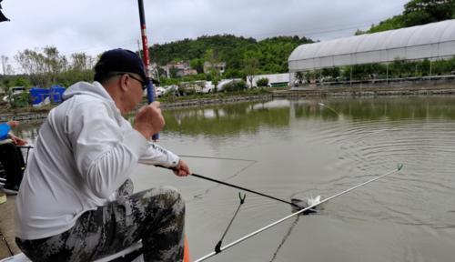 城市河道冬季钓鱼技巧有哪些？如何提高冬季钓鱼成功率？  第1张
