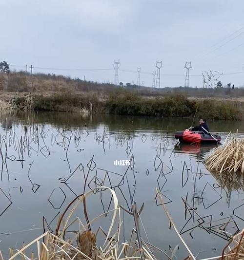 城市河里钓鱼技巧有哪些？如何提高钓鱼成功率？  第2张