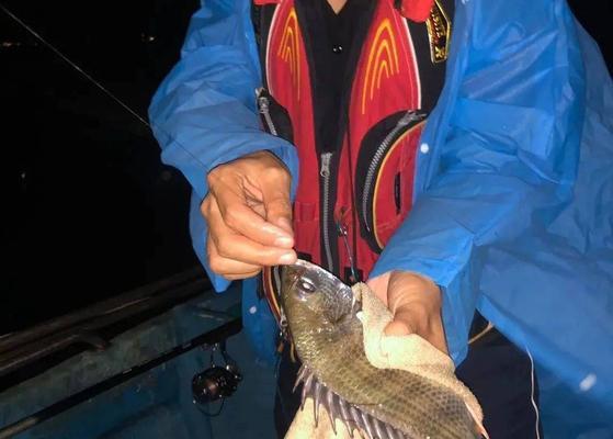 橙子钓鱼的技巧是什么？如何提高橙子钓鱼的成功率？  第3张