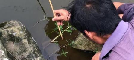 池塘边钓鱼的技巧有哪些？如何提高钓鱼成功率？  第1张