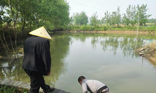 池塘钓鱼钓黄鳝技巧教程？如何提高钓黄鳝的成功率？  第3张