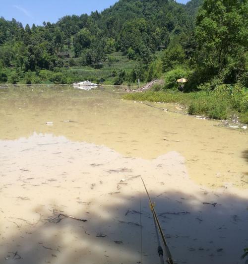 池塘浑水钓鱼的最佳方法和技巧是什么？如何提高浑水钓鱼的成功率？  第2张