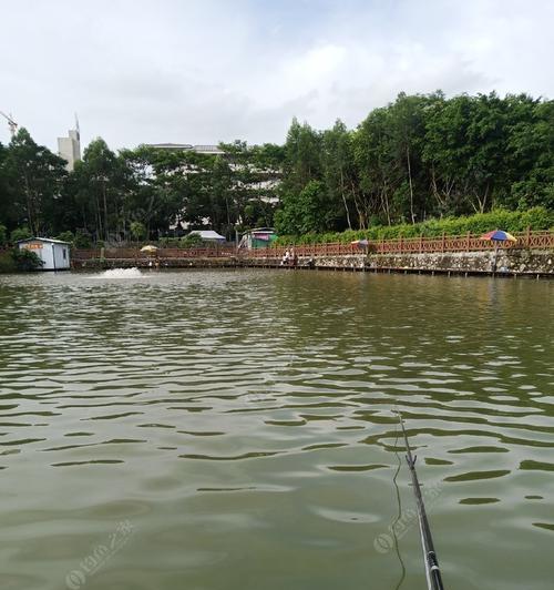 抽水坑钓鱼技巧教学？如何提高钓获率？  第3张