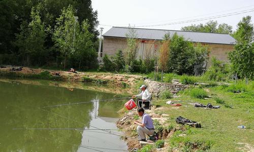 初春钓鱼技巧有哪些？如何提高钓鱼成功率？  第2张