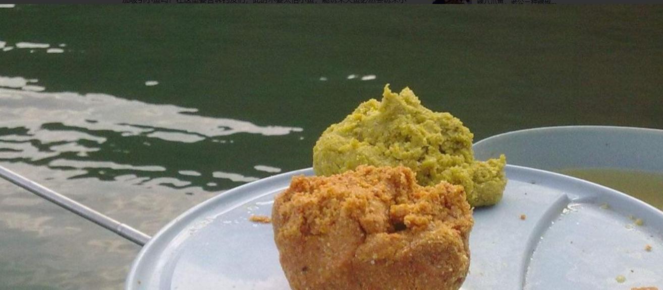 初春钓鱼如何开饵？有哪些开饵技巧能提高钓鱼成功率？  第1张