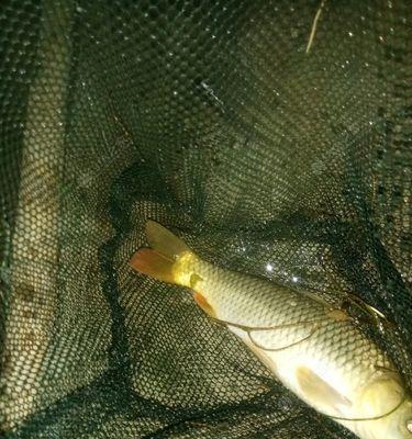 初春汉北河夜钓技巧有哪些？如何提高夜钓成功率？  第2张