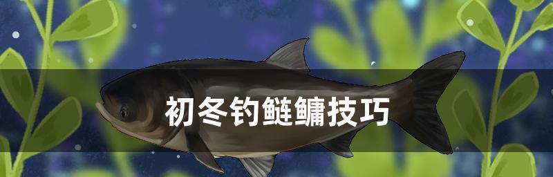 初春鲢鳙垂钓技巧和方法是什么？如何提高垂钓成功率？  第3张
