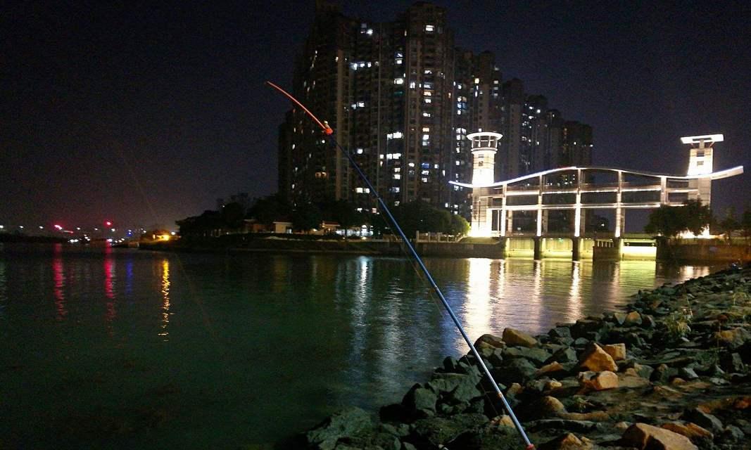 初春夜钓的技巧是什么意思？如何提高夜钓成功率？  第2张
