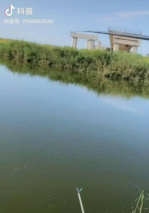 初冬大水面野钓技巧有哪些？如何应对低温天气？  第2张