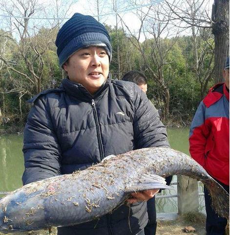 如何提高垂钓回锅青鱼的成功率？掌握哪些技巧和方法？  第2张
