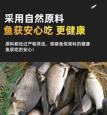 如何提升垂钓技巧？饵料配制有哪些秘诀？  第1张