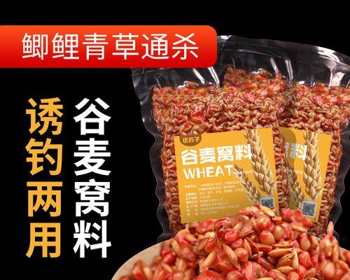 如何正确使用麦粒挂钩钓鲫鱼？常见错误有哪些？  第2张