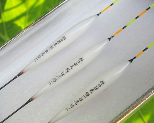 垂钓时如何正确观察浮漂？常见错误有哪些？  第1张