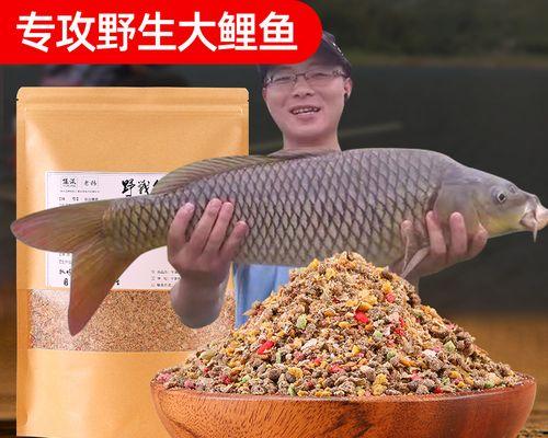 如何掌握垂钓鲤鱼的最佳上食技巧？垂钓鲤鱼时常见的问题有哪些？  第1张