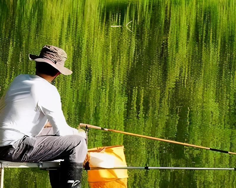 如何在垂钓鲤鱼时有效遛鱼？掌握这三大技巧轻松应对！  第2张