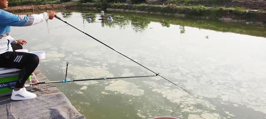垂钓提竿技巧教程？如何提高垂钓成功率？  第1张