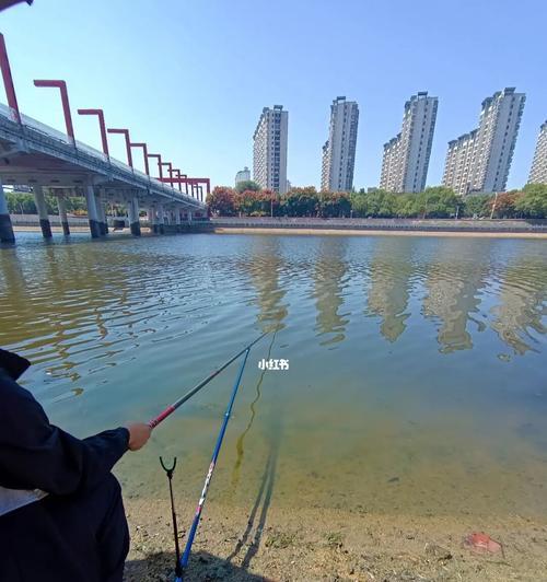 垂钓学院钓鱼技巧有哪些？如何快速掌握垂钓技巧？  第2张