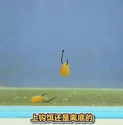 垂钓找鱼技巧有哪些？如何分析鱼群活动？  第3张