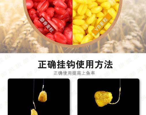 垂钓用小麦技巧有哪些？如何提高垂钓效率？  第2张