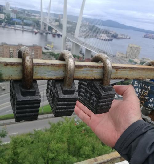 锤子钓鱼技巧教程？如何快速掌握钓鱼技巧？  第3张
