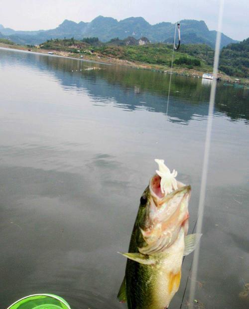 春季钓鱼技巧有哪些？如何选择合适的饵料？  第3张