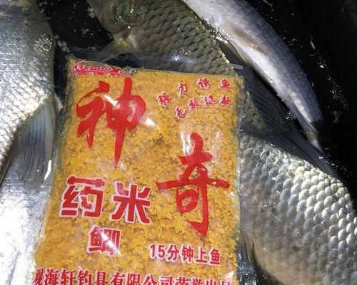春季黑坑野钓打窝技巧是什么？如何有效提高钓鱼成功率？  第1张