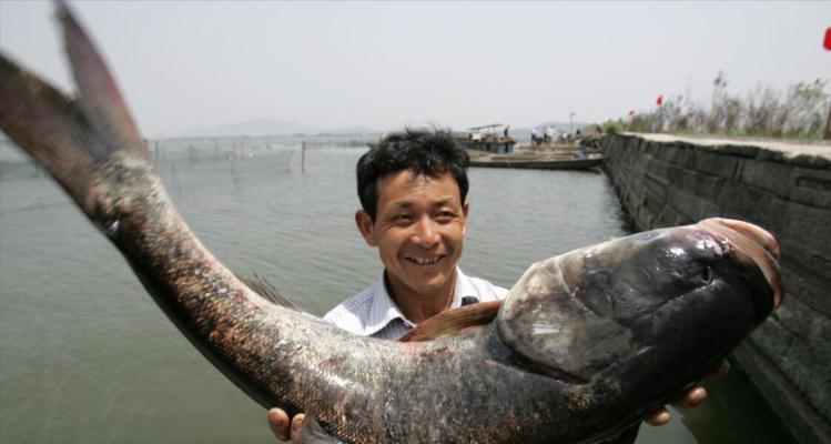 春季江河钓鱼技巧有哪些？如何提高钓鱼成功率？  第1张