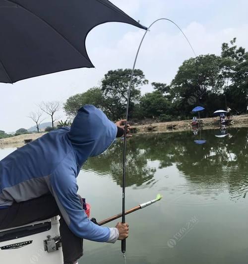 春天阴雨天气钓鱼技巧是什么？如何应对春季多雨天气的钓鱼挑战？  第1张