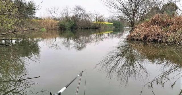 春天阴雨天气钓鱼技巧是什么？如何应对春季多雨天气的钓鱼挑战？  第2张