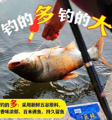 春夏钓鱼技巧教程？如何提高钓鱼成功率？  第1张
