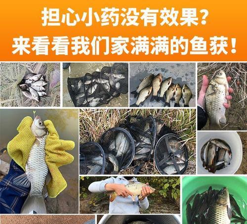 春夏钓鱼技巧教程？如何提高钓鱼成功率？  第3张