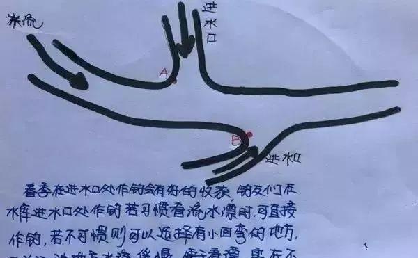 春夏钓鱼技巧教程？如何提高钓鱼成功率？  第2张