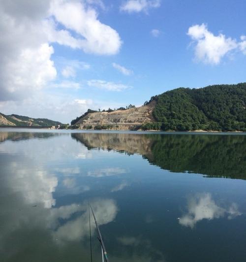 四季钓鱼技巧有哪些？春夏秋冬如何应对不同天气条件？  第1张