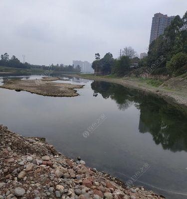 春雨绵绵钓鱼技巧？如何在细雨中提高钓鱼成功率？  第1张