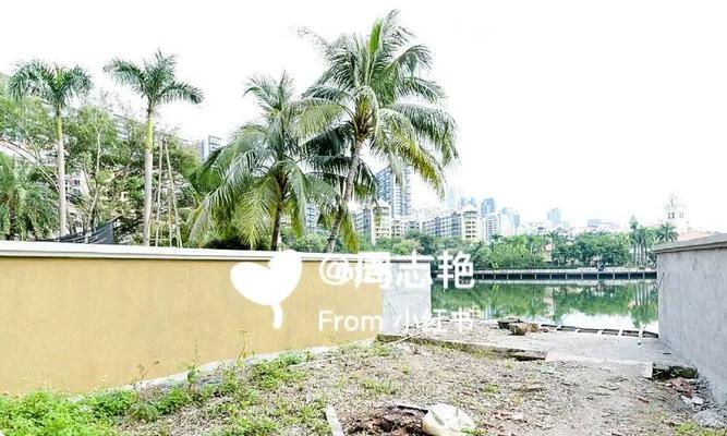 纯水岸钓鱼技巧和方法有哪些？如何提高钓鱼成功率？  第3张