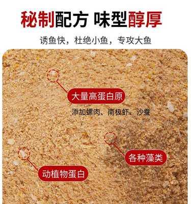 纯腥饵钓鱼技巧教程？如何提高钓鱼成功率？  第3张