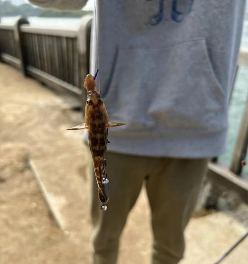 崔老板分享的钓鱼技巧有哪些？如何提高钓鱼成功率？  第3张