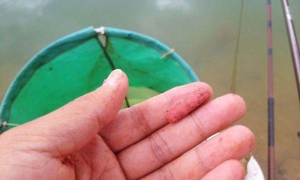 搓饵钓浮的方法和技巧是什么？如何提高钓浮效果？  第1张