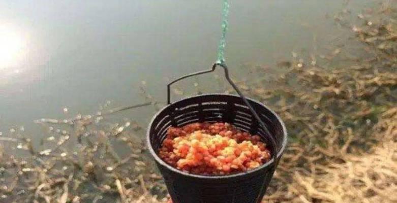 搓饵钓鱼挂饵技巧有哪些？如何提高挂饵效率？  第1张