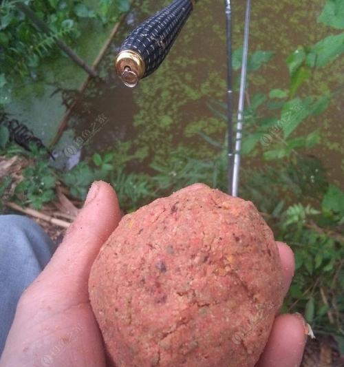 搓饵钓鱼技巧教程？如何搓制完美饵料？  第3张