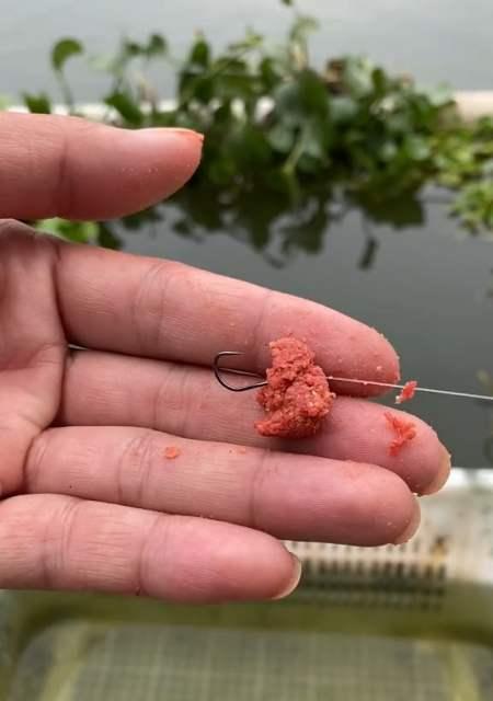 搓饵钓鱼有哪些技巧吗？如何提高钓鱼成功率？  第2张